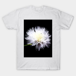 White Wildflower T-Shirt